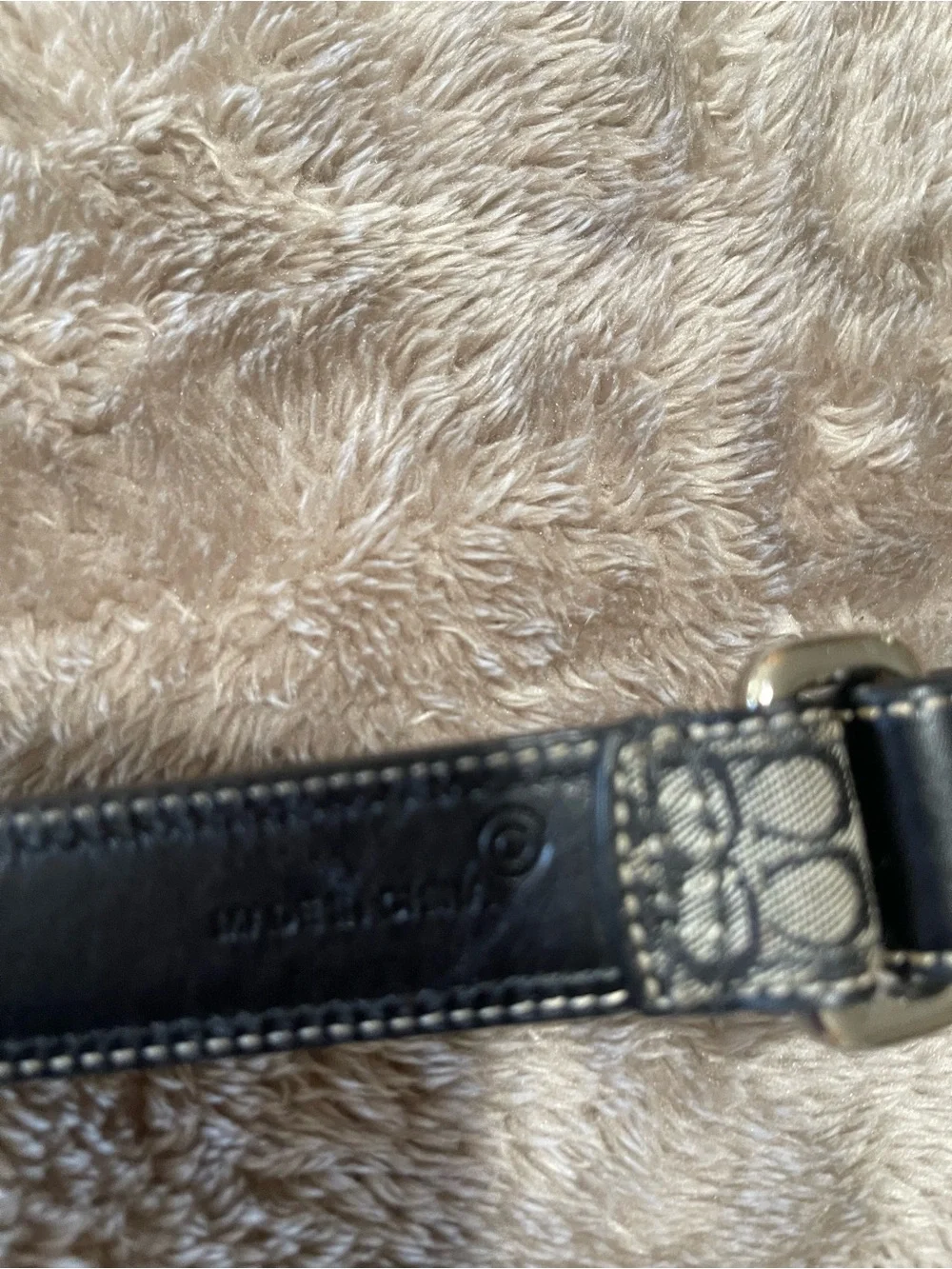 Coach stylish signature